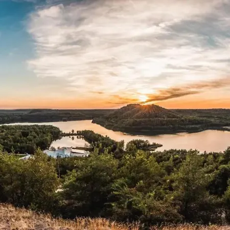 Papillon - Familie 6p *