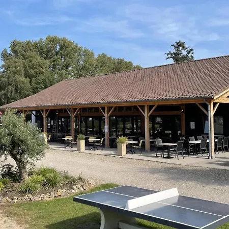 Papillon - Familie 6p * بوالون