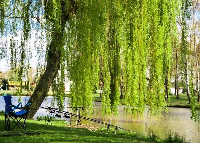 شاليه Papillon - Familie 6p *